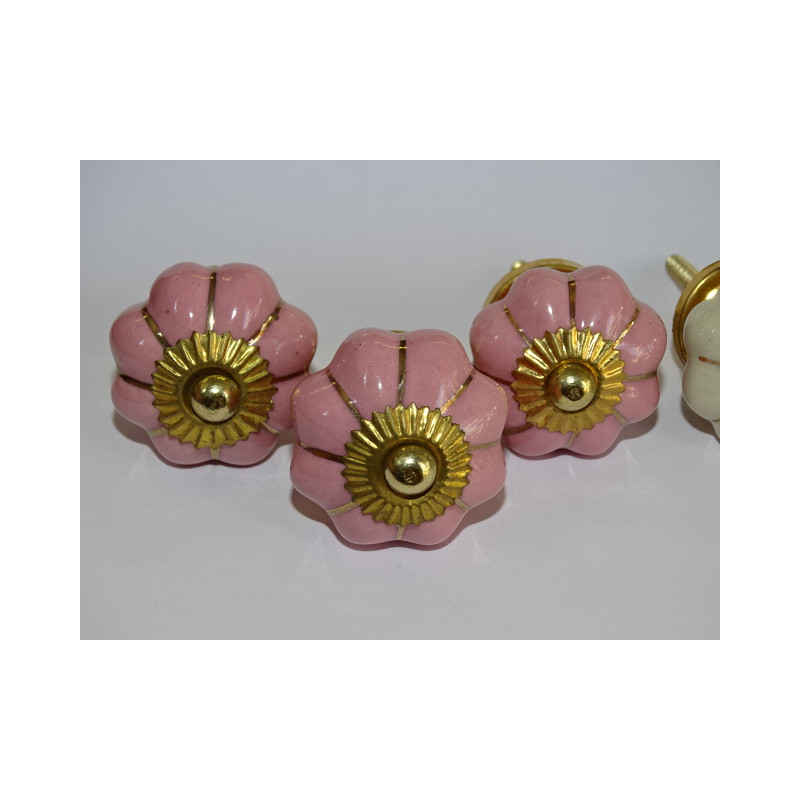 Set von 6 Kürbisknöpfen 32 mm 3 Rosen und 3 beige