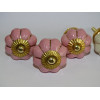 Set von 6 Kürbisknöpfen 32 mm 3 Rosen und 3 beige