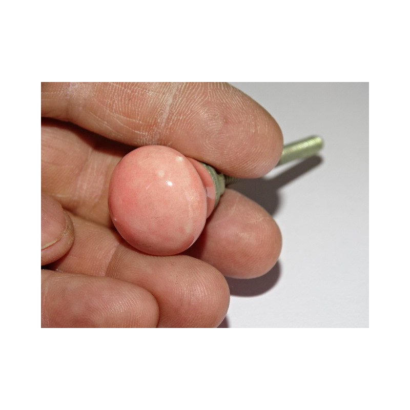 Small Furniture handle pink