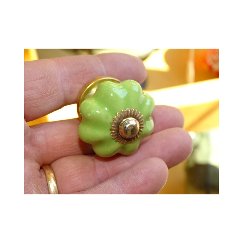 Pequeña manijas calabaza verde primavera