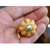 Small pumpkin caramel-colored handles