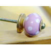 Piccola rosa gestisce puntini bianchi