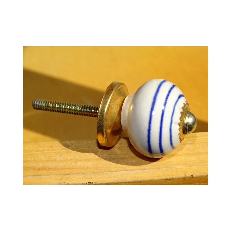 Piccola zucca bianco linea blu scuro