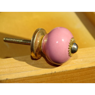 Piccolo maneggiare Rosa
