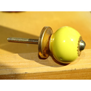 Manejar pequeño  amarillo