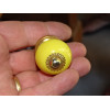 Small handles Yellow