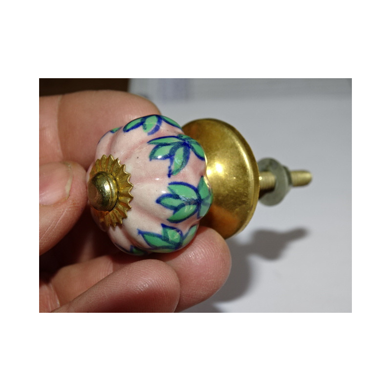 Small pink pumpkin handles and green leaves