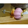 Pastellrosa  Griffe kleine Kürbis