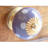 buton pumpkin white flower purple