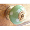 Boutons pois vert printemps