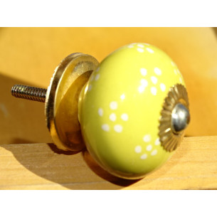 giallo gestisce piccoli fiori bianchi