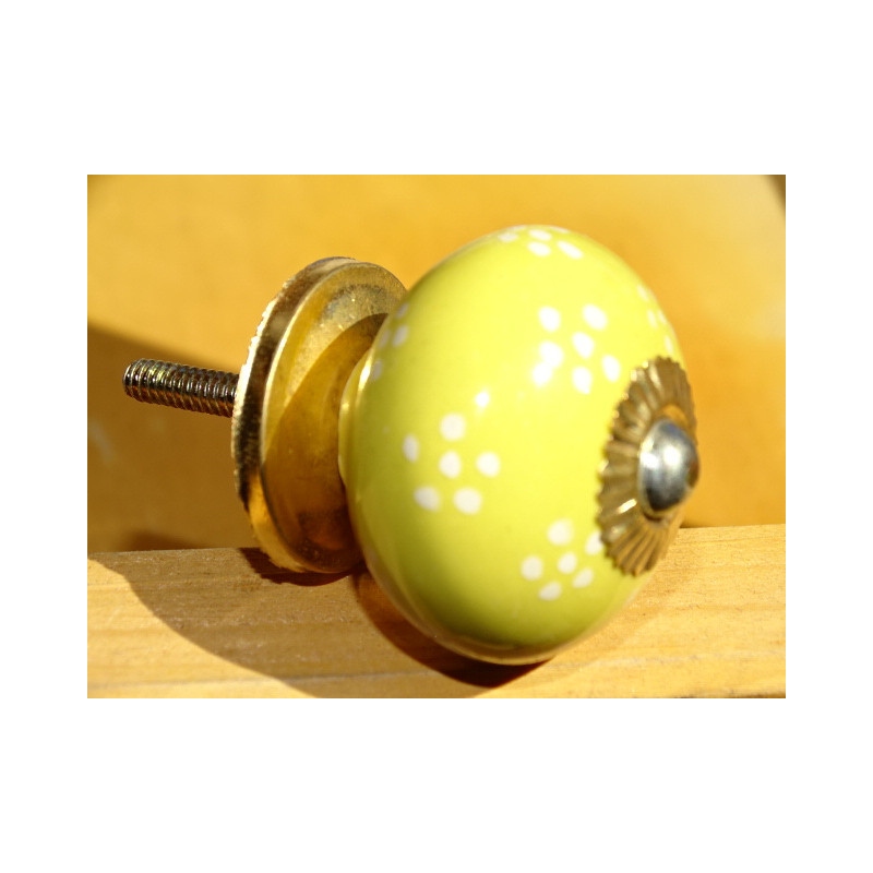 yellow handles small white flowers