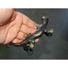 poignée en bronze salamandre patinée verte et lisse - droite